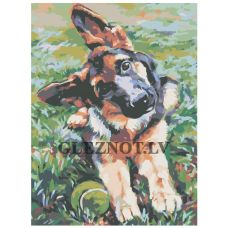 Gleznas pēc numuriem RA018