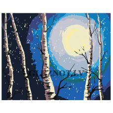 Gleznas pēc numuriem RA146