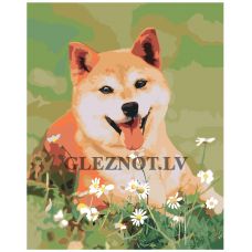 Gleznas pēc numuriem TSKK-DogD8