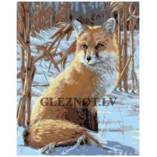 Gleznas pēc numuriem W360