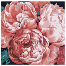 Gleznas pēc numuriem "Peonijas" Z-AB143