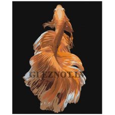 Gleznas pēc numuriem "Zelta zivtiņa" Z-AB282