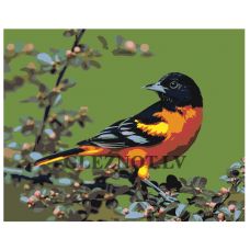 Gleznas pēc numuriem Z-AB293