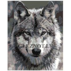 Gleznas pēc numuriem Z-AB312