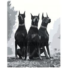 Gleznas pēc numuriem Z-MVAML74x4050