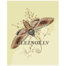 Gleznas pēc numuriem "Brūnais taurenītis" Z-NA166