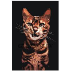 Gleznas pēc numuriem Z-NA28