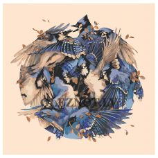 Gleznas pēc numuriem Z-NA63