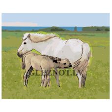 Gleznas pēc numuriem Z-Z1012273