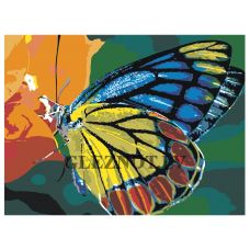 Gleznas pēc numuriem Z-z15061