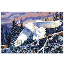 Gleznas pēc numuriem "Baltā pūce" Z3175