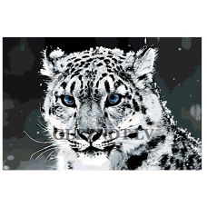 Gleznas pēc numuriem Z49772