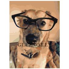 Gleznas pēc numuriem ets360-3040