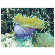 Gleznas pēc numuriem ets535-2-3040