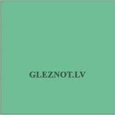 Akrila krāsa P9, 300 ml