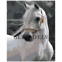 Gleznas pēc numuriem IIIR-KRS048