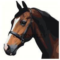 Gleznas pēc numuriem LI-179