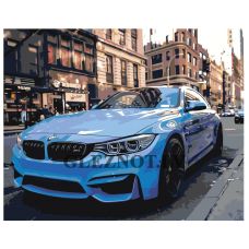 Gleznas pēc numuriem "BMW" zgena110520-5